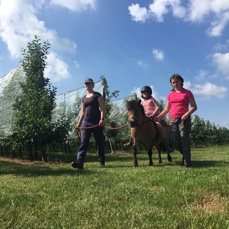 Meisje zit op pony en wandelen over het gras. 