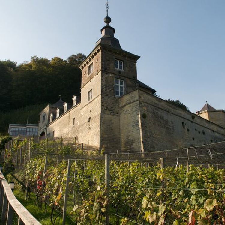 Twee mensen lopen de trap omhoog langs een wijngaard richting Chateau Neercanne
