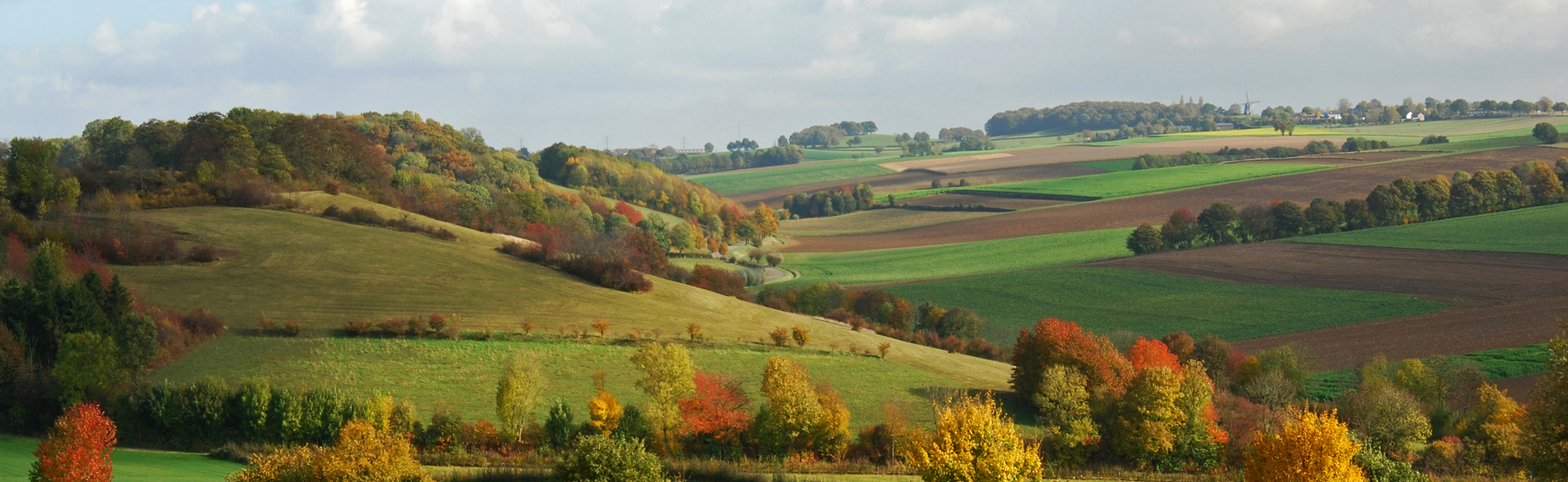 Heuvellandschap Zuid-Limburg in de herfst