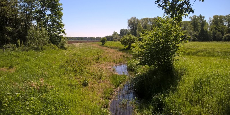 Kleine sloot in natuurgebied nabij Hommelheide met zicht op Middelsgraaf bij Susteren