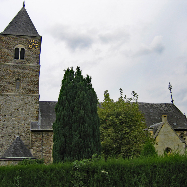 Pancratiuskerk in Mesch gelegen achter een groene haag