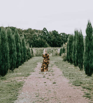 Een vrouw in een lange jurk wandelt door een laan met cipressen aan weerszijden