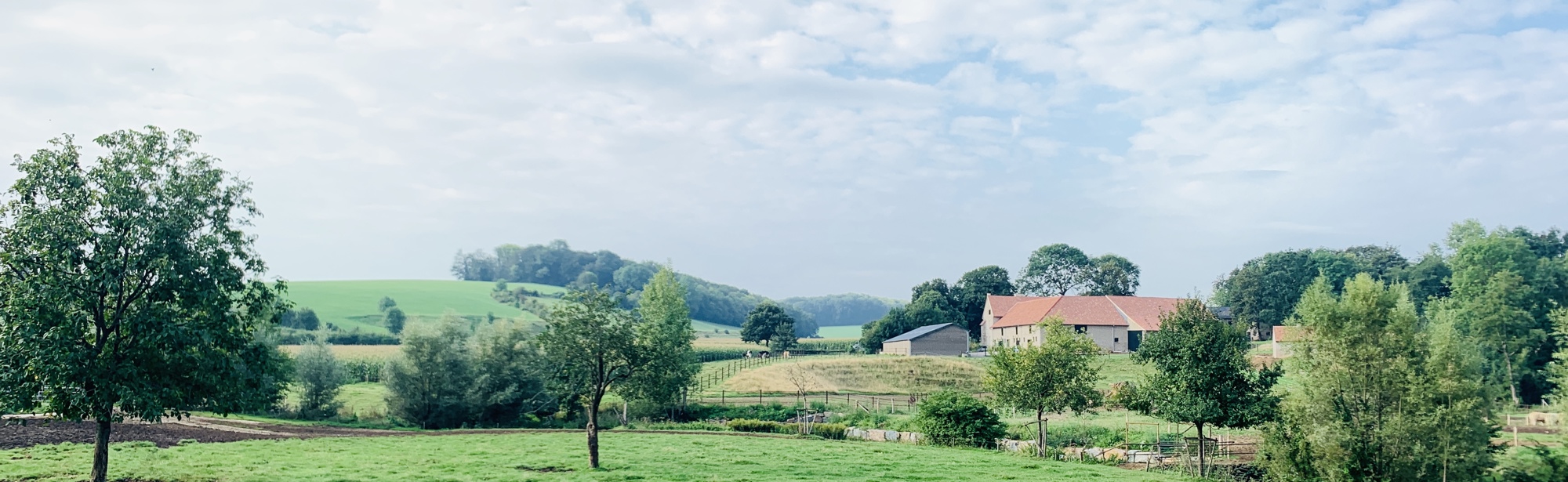 Mooi uitzicht over Partij richting Gulpen tijdens de camini-wandeling