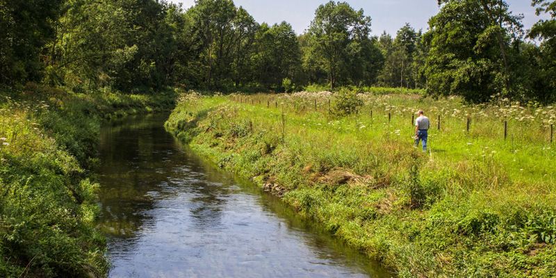 Wandelaar in groen landschap naast het water in Beekdaelen