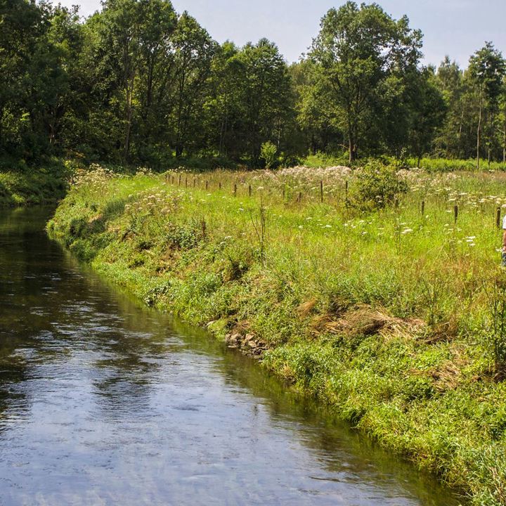 Wandelaar in groen landschap naast het water in Beekdaelen