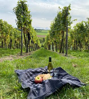 Een picknickdekentje met wijn, fruit en broodjes tussen de wijngaard met uitzicht op de heuvels