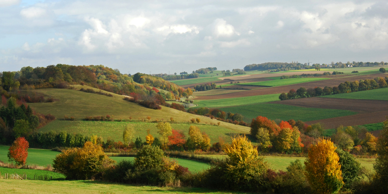 De herfstkleuren zijn terug te zien in de bomen in het Heuvelland