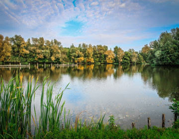 Een uitkijk op een meer met prachtige herfstbomen