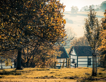 Vakwerkhuizen tussen de herfstbomen