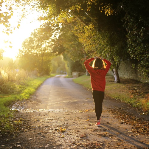 Vrouw is aan het bijkomen van het hardlopen in het bos tussen de herfstbomen