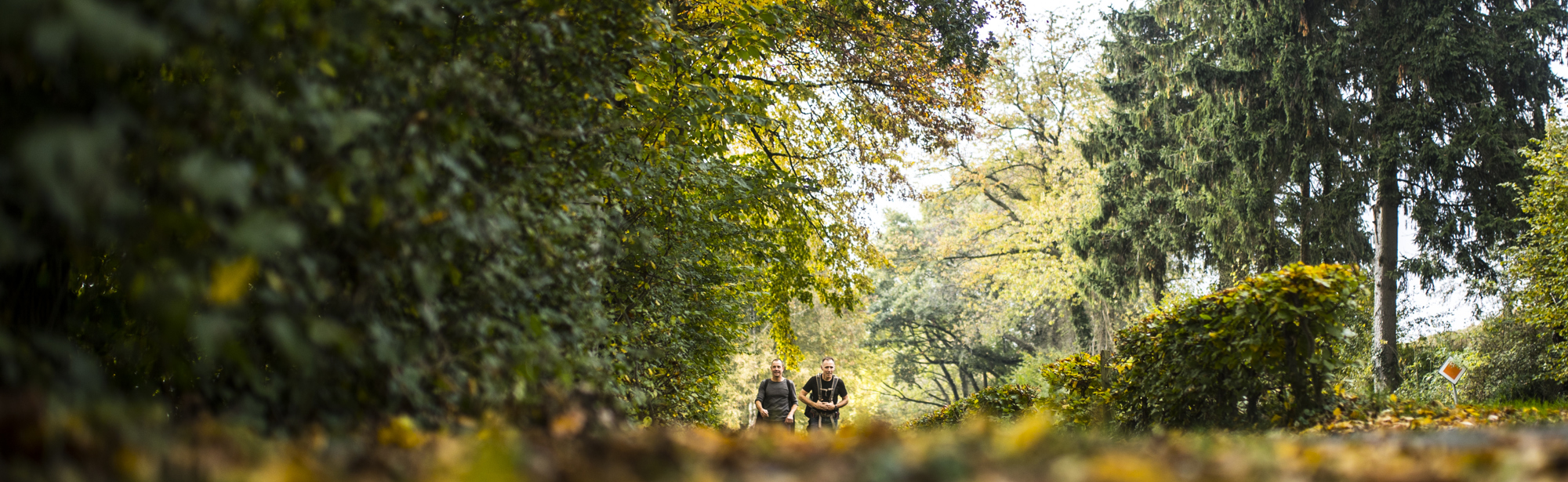 Twee wandelaars lopen over een pad bedekt met herfstbladeren