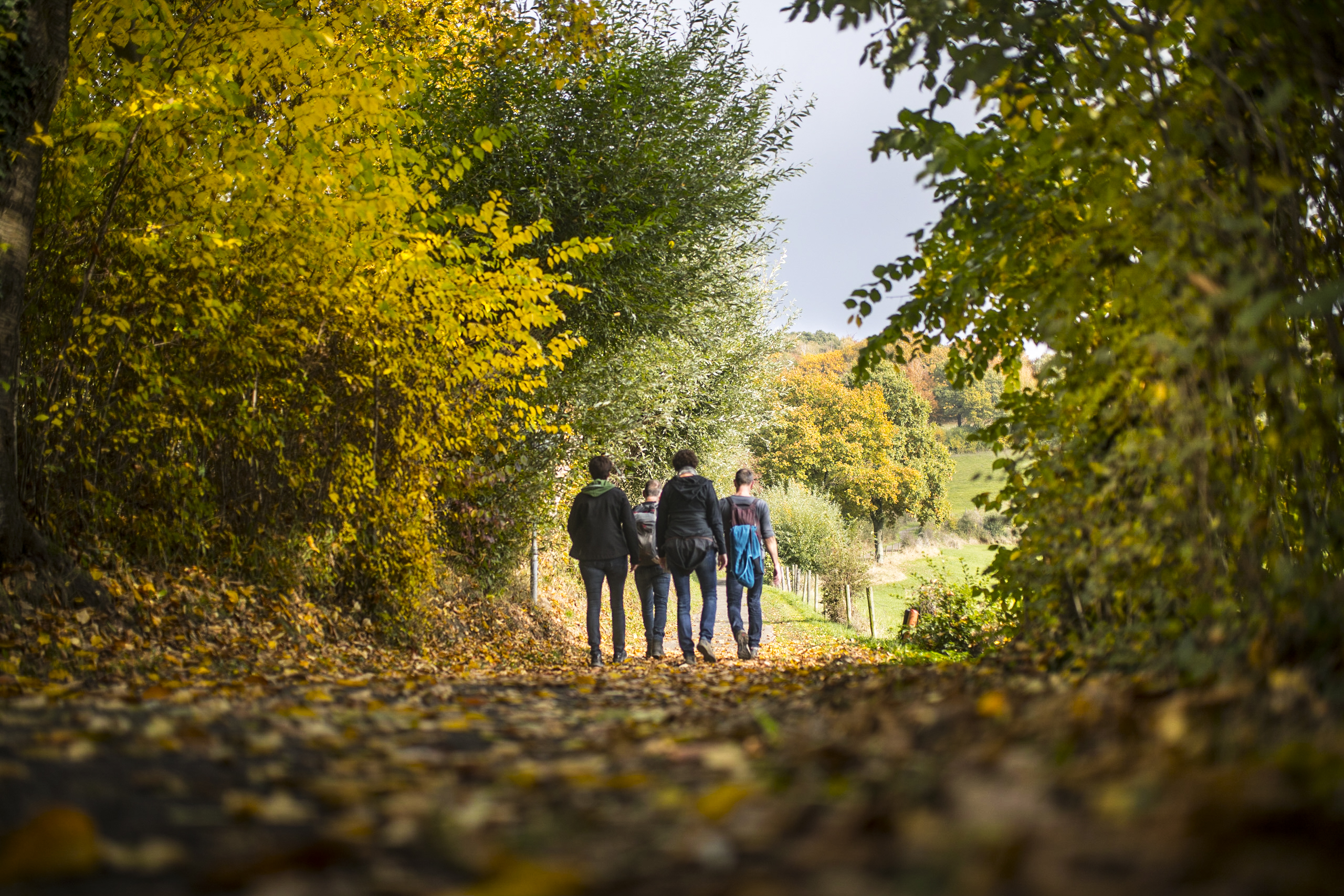 De Mooiste Wandelroutes In Zuid-Limburg