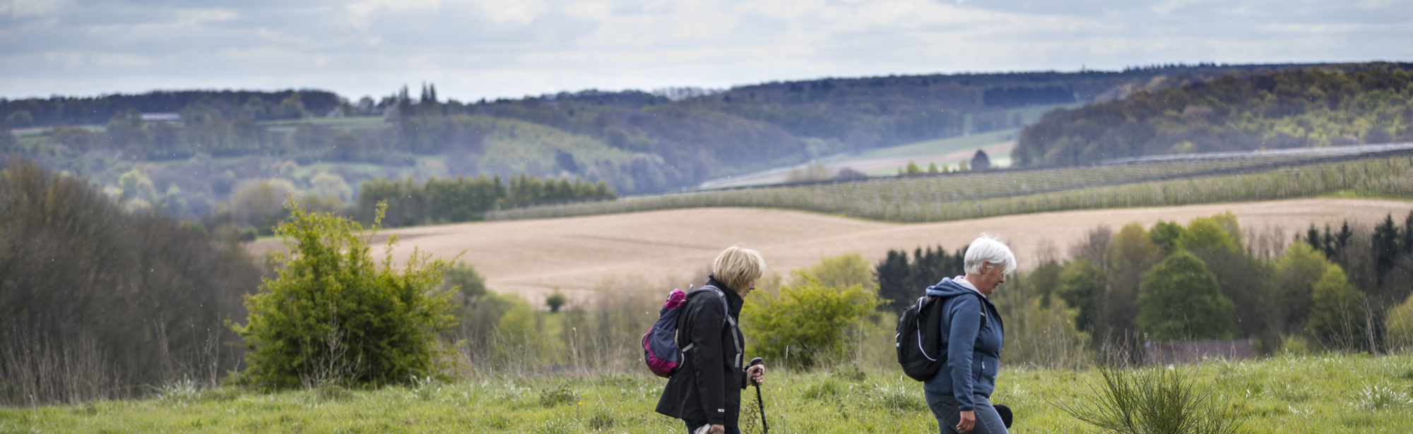 Twee wandelaars lopen door een wei met uitzicht over het Heuvellandschap