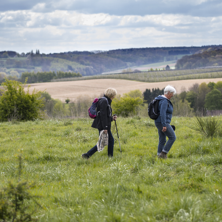 Twee wandelaars lopen door een wei met uitzicht over het Heuvellandschap