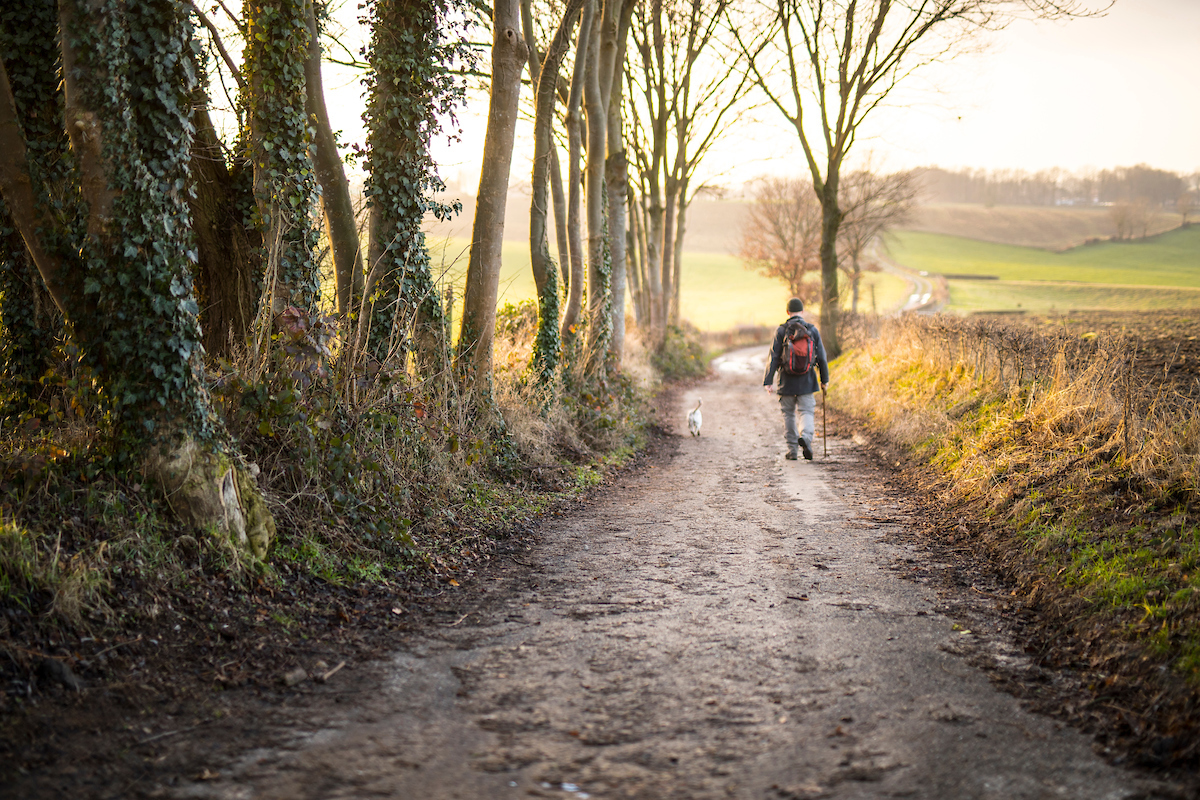 Ontdek Nieuwe Wandelingen In Zuid-Limburg