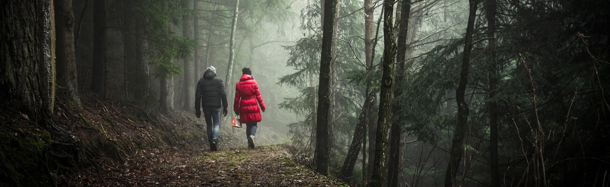 Twee mensen wandelen door een mistig en donker bos