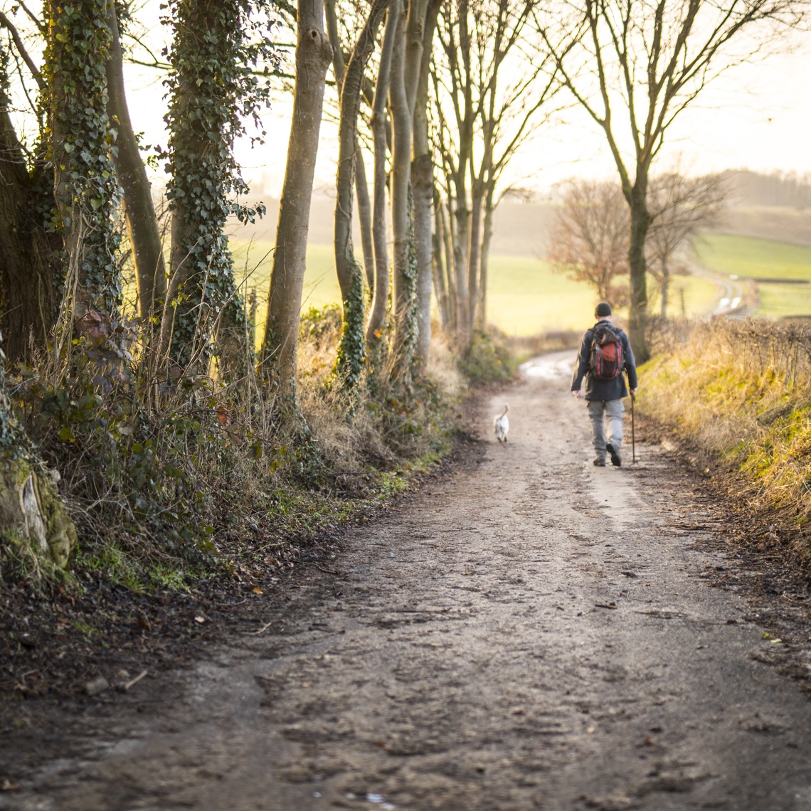 Man loopt samen met zijn hond door de natuur