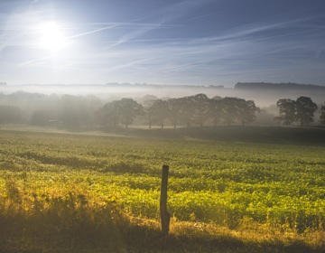 Zonnige herfstdag op de Gulperberg met laagstaande zon