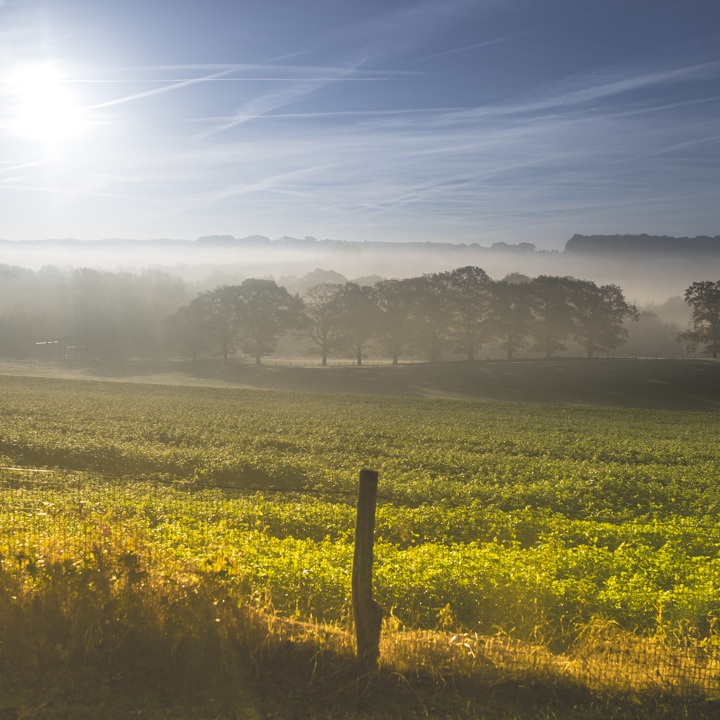 Zonnige herfstdag op de Gulperberg met laagstaande zon