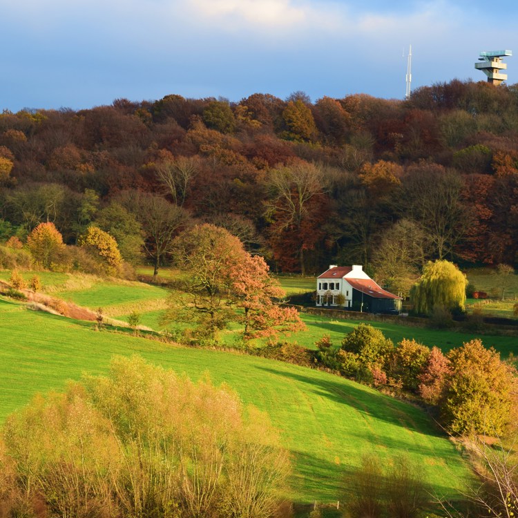 Uitkijkje op een herfstlandschap in Vaals en de Wilhelminatoren