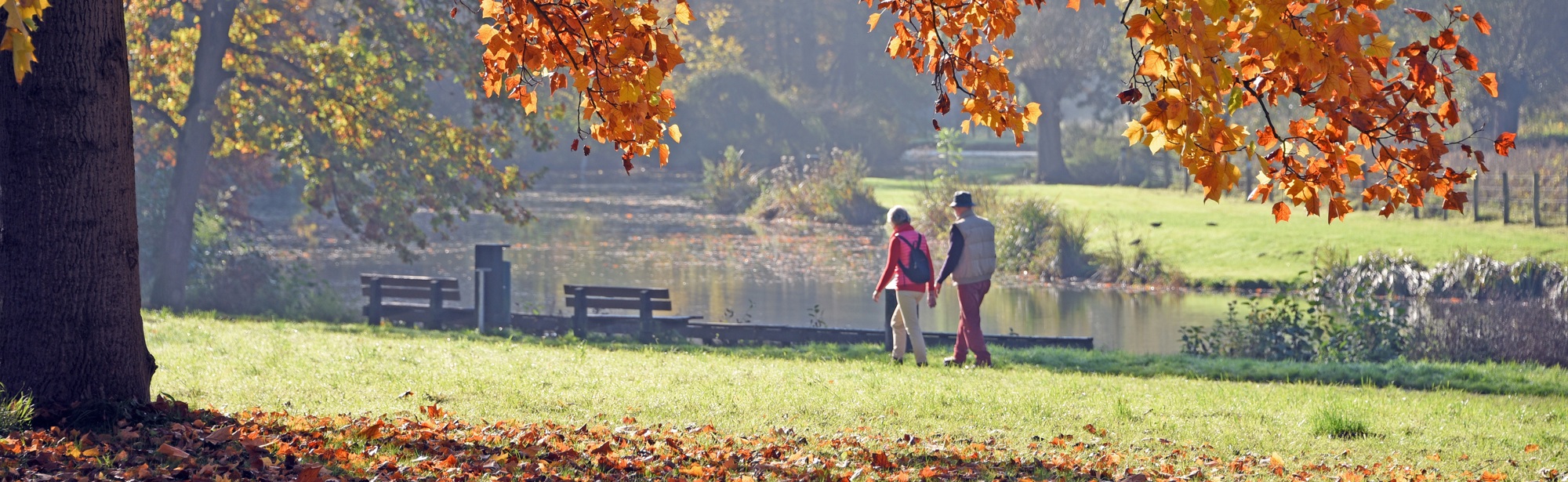 Een koppel maakt een wandeling door het herfstbos in Elsloo