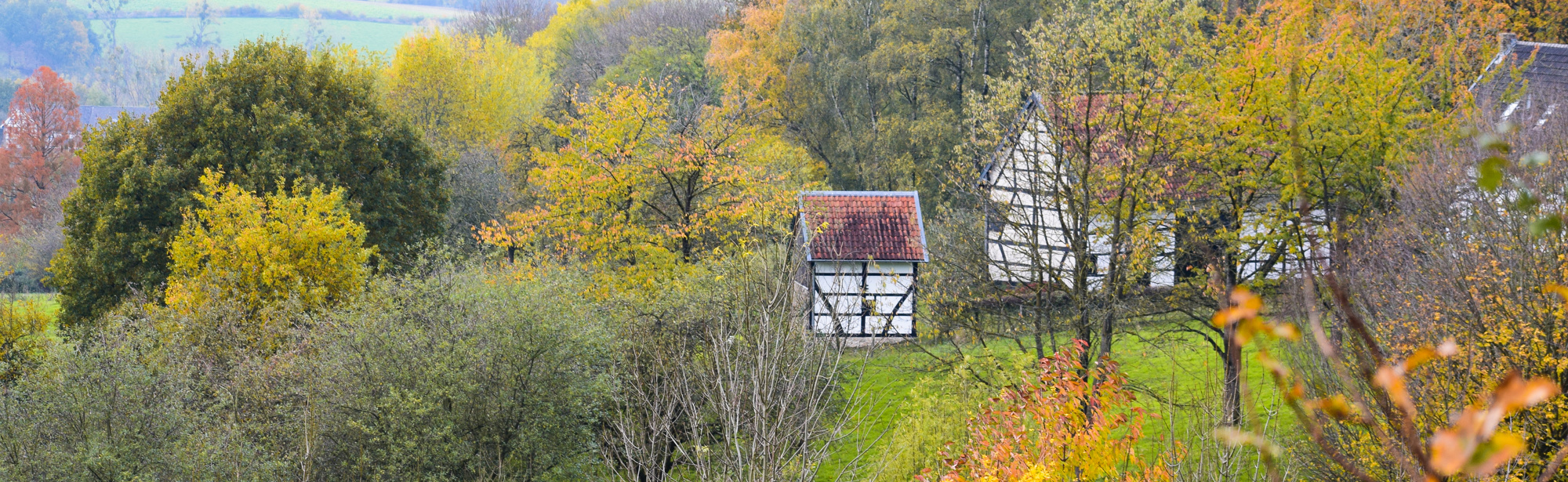 Groep Vakwerkhuizen In Het Heuvelland