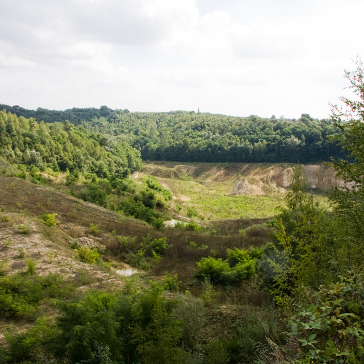 Natuurgebied van de Dellen