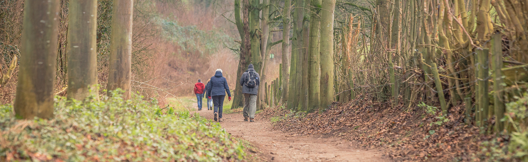 Mensen wandelen in herstig bos