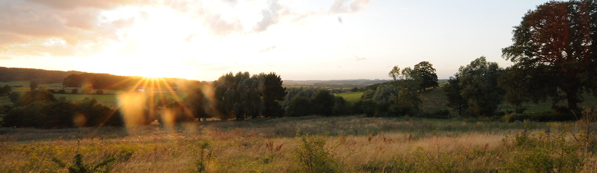 De zonsopkomst in een natuurgebied