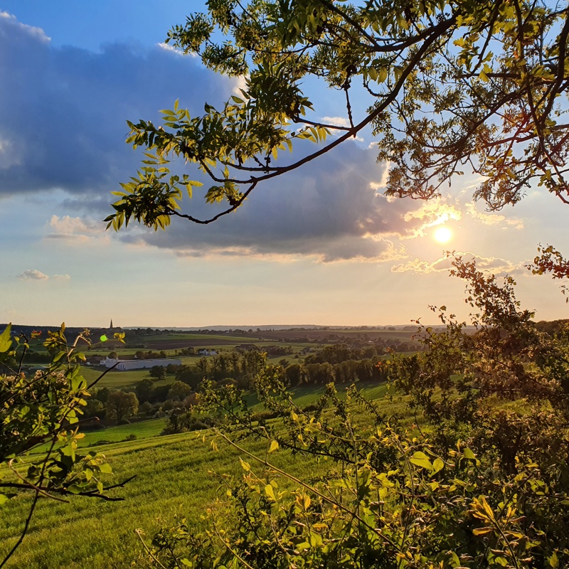 Een panorama vanaf de Schneeberg