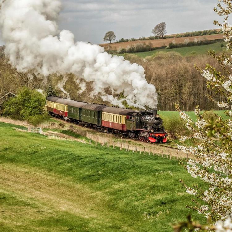 Stroomtrein raast door Zuid-Limburgs bloesem landschap