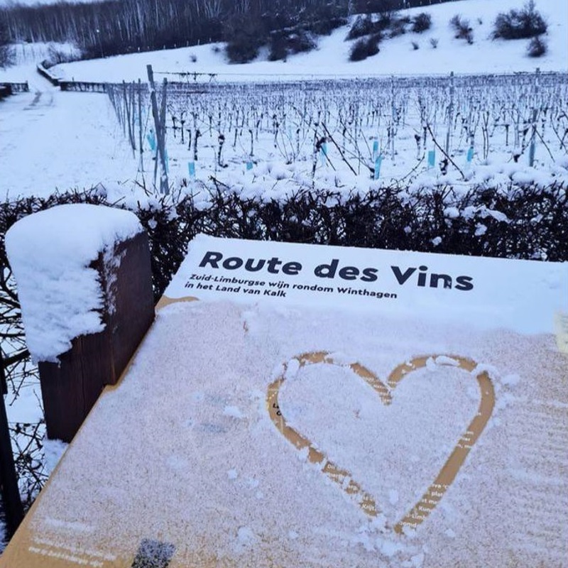 Een besneeuw wijnbord met een hartje getekend in de sneeuw en op de achtergrond winterse wijnstokken