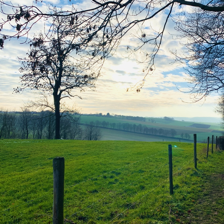 Een mooi weids uitzicht over de weilanden van de limburgse gemeente Voerendaal