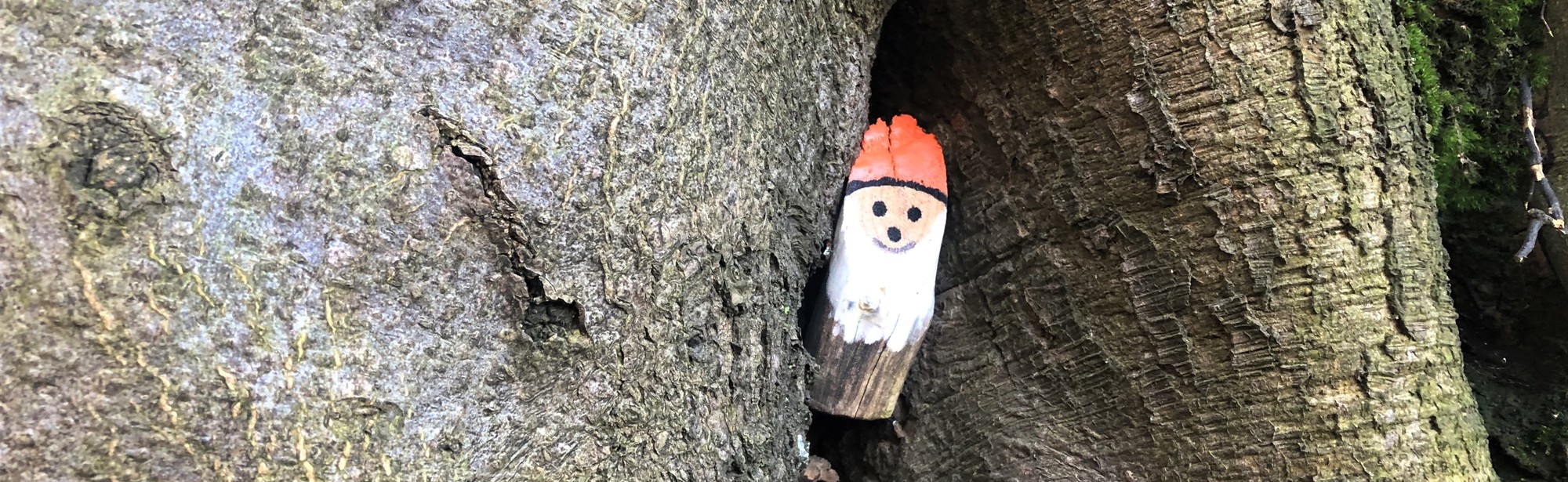 Een houten kaboutertje verstopt in de nis van een boom