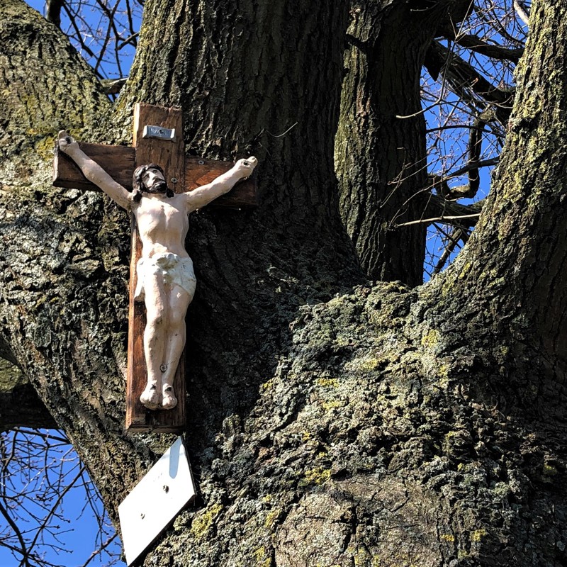 Een wegkruisje met Jezus hangt aan een boom