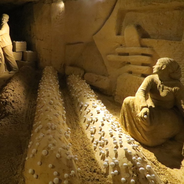 Mergelscene van Champignontelers in MergelRijk Valkenburg