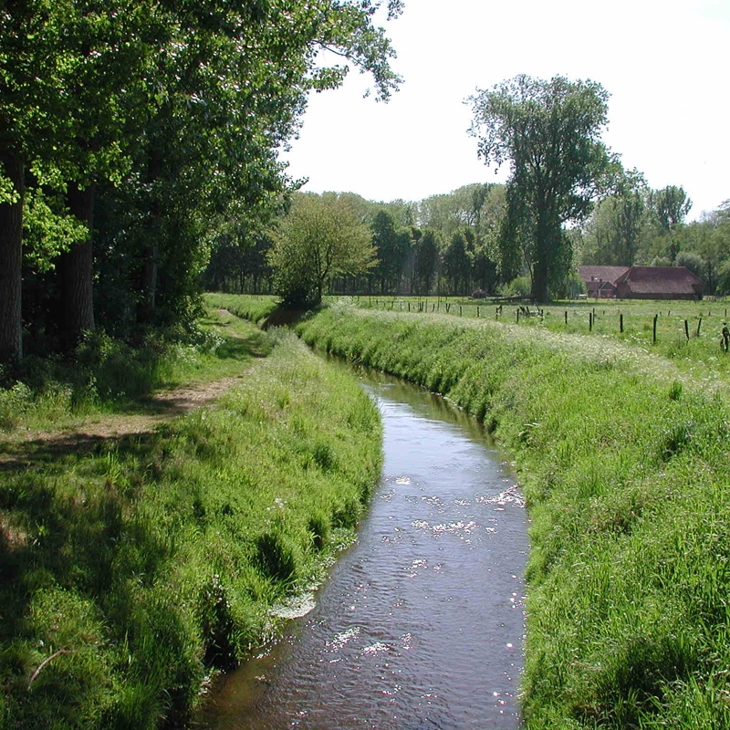 De Geleenbeek stroomt op een zonnige dag tussen de weilanden door