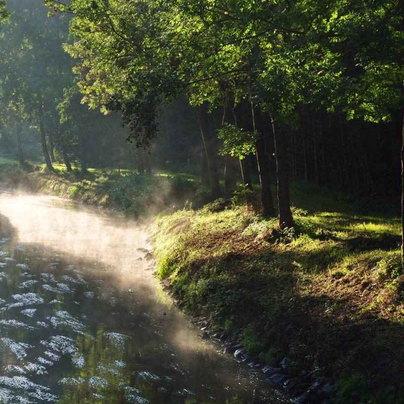 Een stomende Geleenbeek stroomt door de natuur