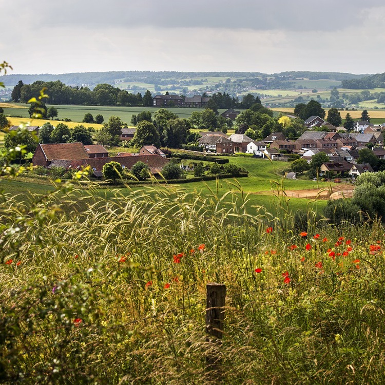 Mooi uitzicht over de omgeving Wahlwiller tijdens de lente met bloemen en groene kleuren in het landschap