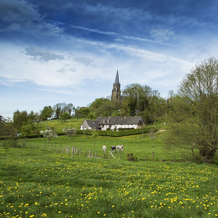 Vakantiehuis De Heerlijkheid Vijlen staat in de wei met kerk op de achtergrond