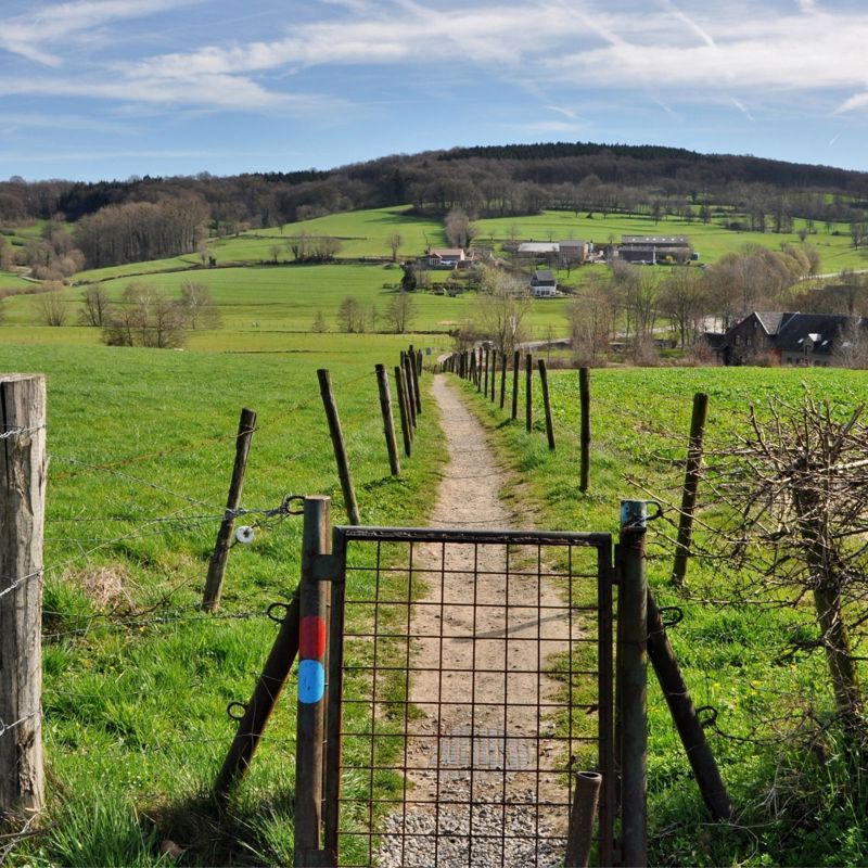 Wandelpad met hekje en achterliggend heuvellandschap