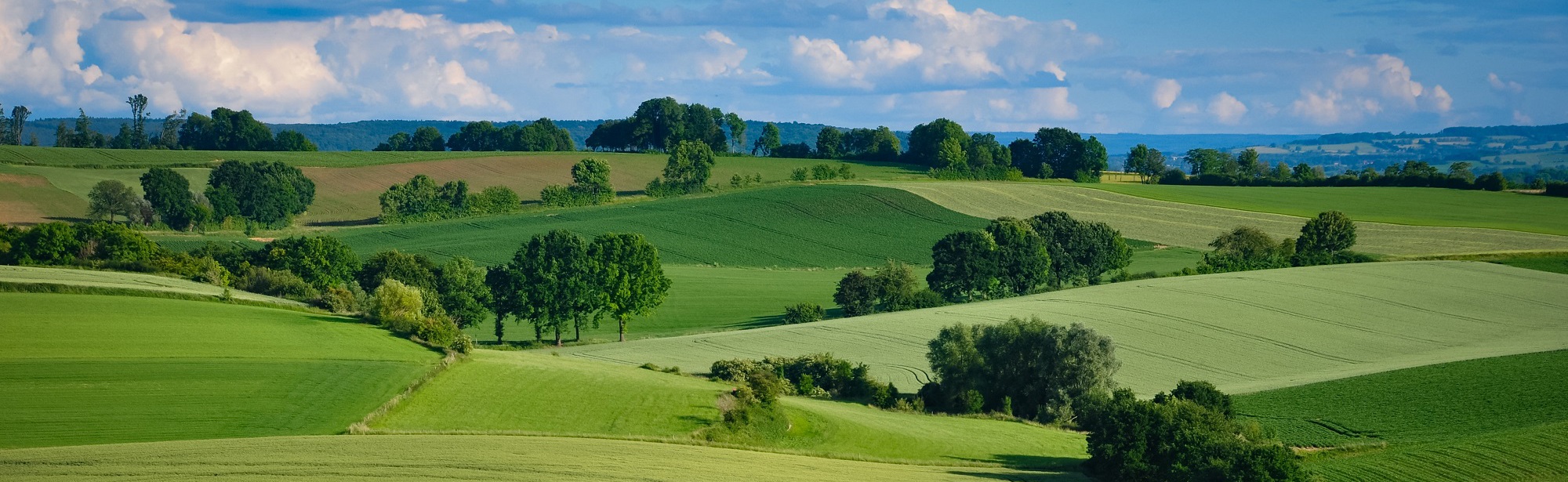 Mooie in elkaar overlopende landschappen op de Fromberg