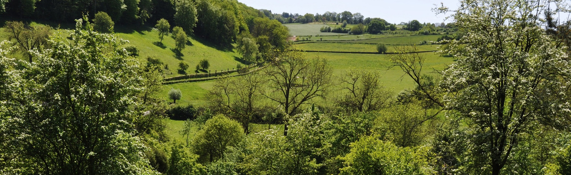 Mooi groen landschap en uitzicht over het Gerendal