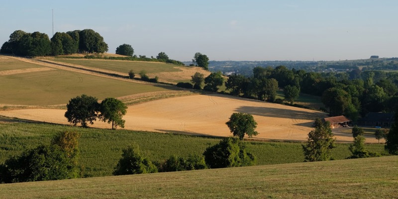 Heuvellandschap Zuid-Limburg op een zomerse dag