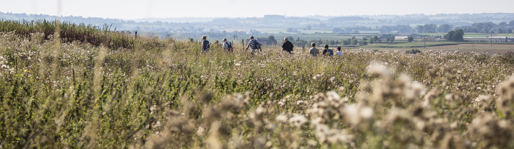 Wandelaars in het Savelsbos met prachtig uitzicht.