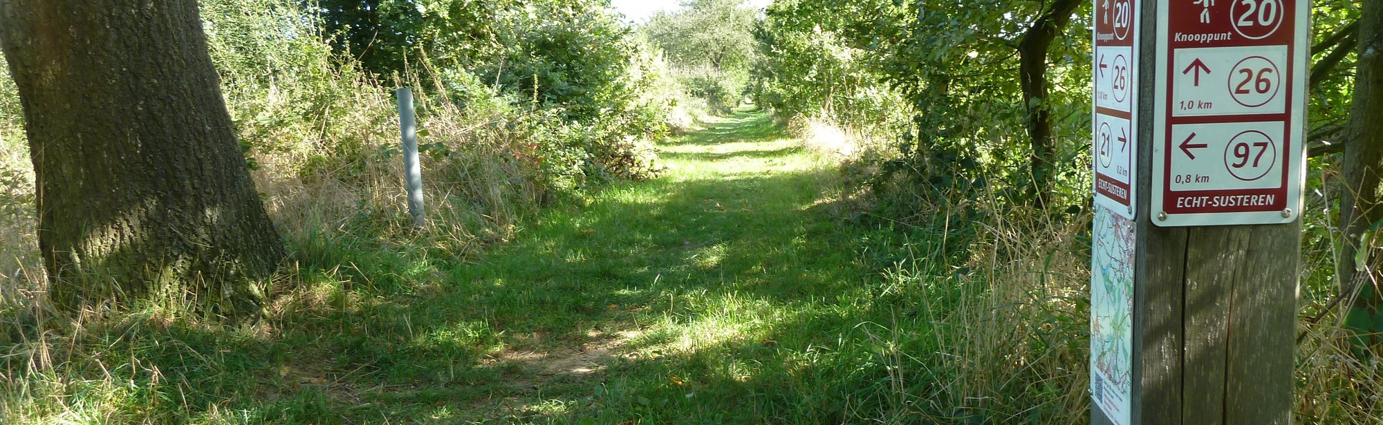 Knooppunten paaltje in het gras in Echt-Susteren