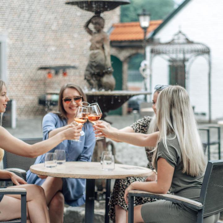 Vier jonge meiden proosten met een rosé wijn op het terras