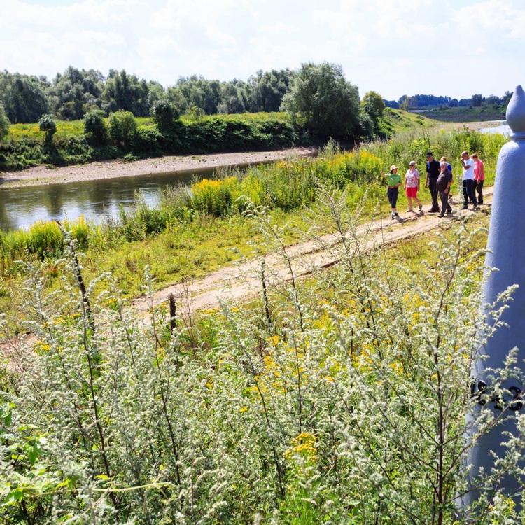 Wandelaars lopen langs het water in de Maasvallei 