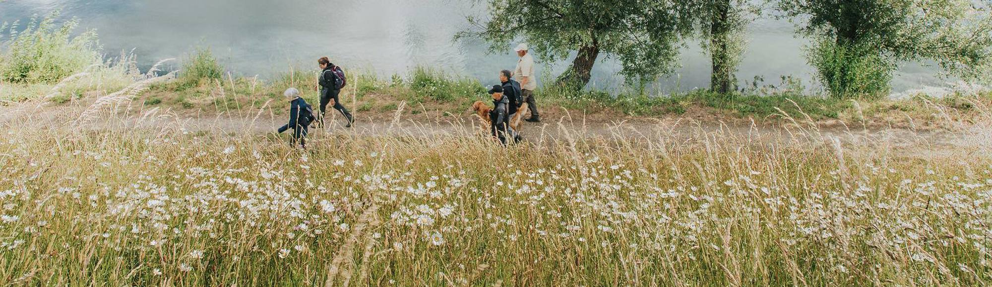 Een groepje mensen wandelt langs de Maas door Rivierpark Maasvallei