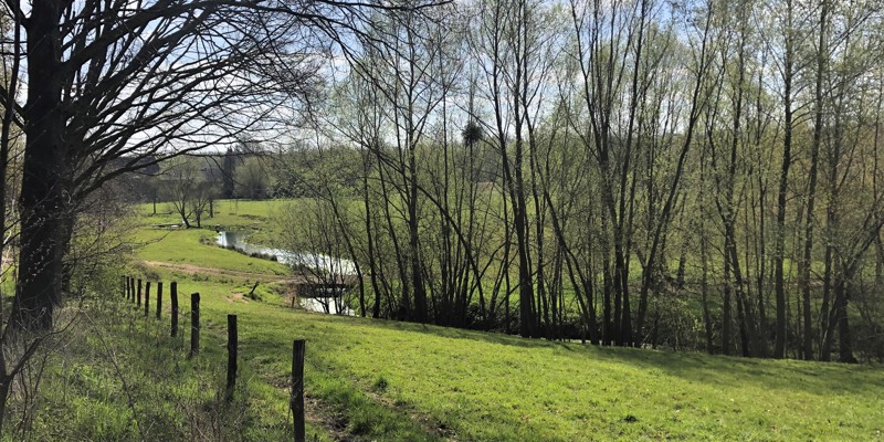 De Geleenbeek In Een Natgeregend Groen Landschap